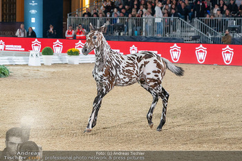 LGCT - Schloss Schönbrunn, Wien - Sa 26.09.2026 - 166