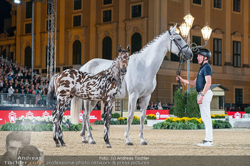 LGCT - Schloss Schönbrunn, Wien - Sa 26.09.2026 - 167
