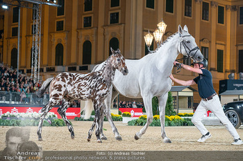 LGCT - Schloss Schönbrunn, Wien - Sa 26.09.2026 - 168