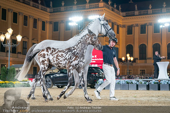 LGCT - Schloss Schönbrunn, Wien - Sa 26.09.2026 - 169