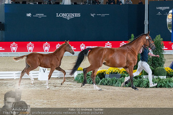 LGCT - Schloss Schönbrunn, Wien - Sa 26.09.2026 - 172