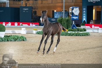 LGCT - Schloss Schönbrunn, Wien - Sa 26.09.2026 - 176