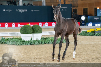 LGCT - Schloss Schönbrunn, Wien - Sa 26.09.2026 - 177