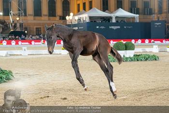 LGCT - Schloss Schönbrunn, Wien - Sa 26.09.2026 - 178