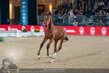 LGCT - Schloss Schönbrunn, Wien - Sa 26.09.2026 - 180