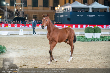 LGCT - Schloss Schönbrunn, Wien - Sa 26.09.2026 - 184