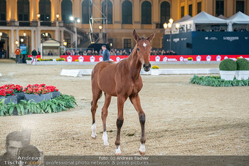 LGCT - Schloss Schönbrunn, Wien - Sa 26.09.2026 - 185