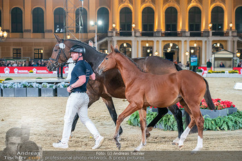 LGCT - Schloss Schönbrunn, Wien - Sa 26.09.2026 - 186