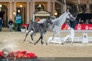 LGCT - Schloss Schönbrunn, Wien - Sa 26.09.2026 - 193