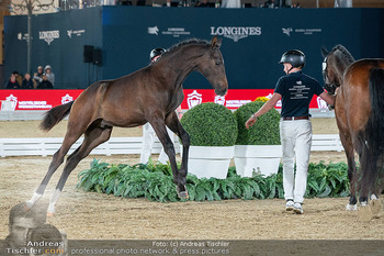 LGCT - Schloss Schönbrunn, Wien - Sa 26.09.2026 - 197