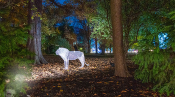 Klanglicht im Park - The Sound of Light - Schwarzenberggarten, Wien - Mo 19.10.2026 - Lichter im Park, beleuchtete Bäume, Besucher, Lichtinstallation3